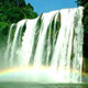 贵州从江原生态特产店