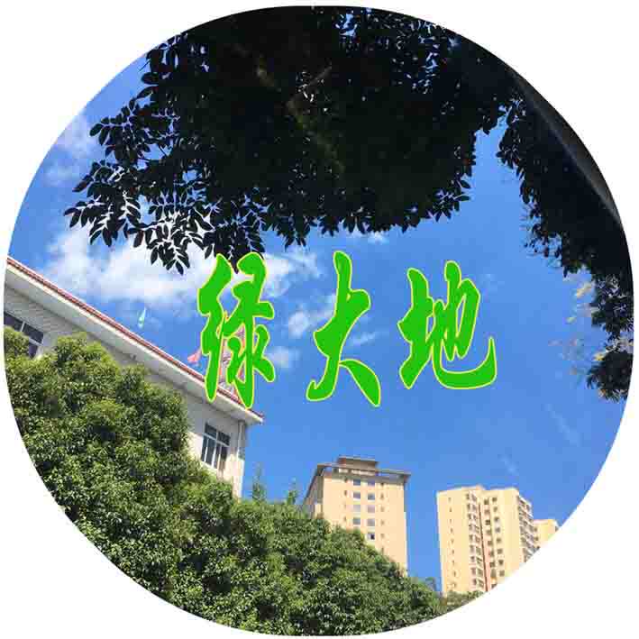 绿大地青藏特产店