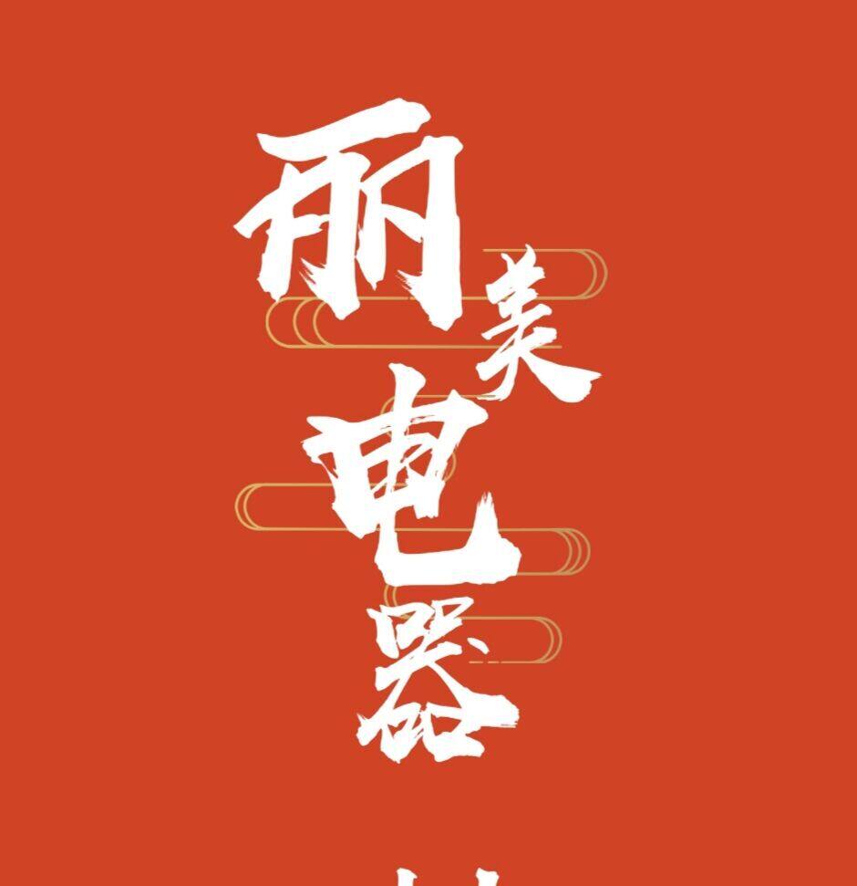 丽美电器