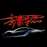车表哥奇泰专卖店的LOGO