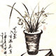印象紫砂淘