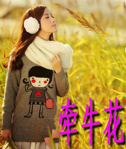 牵牛花20美妆服饰