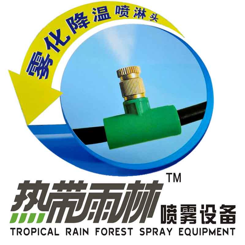 热带雨林品牌官方店的LOGO