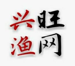 巢湖兴旺渔网