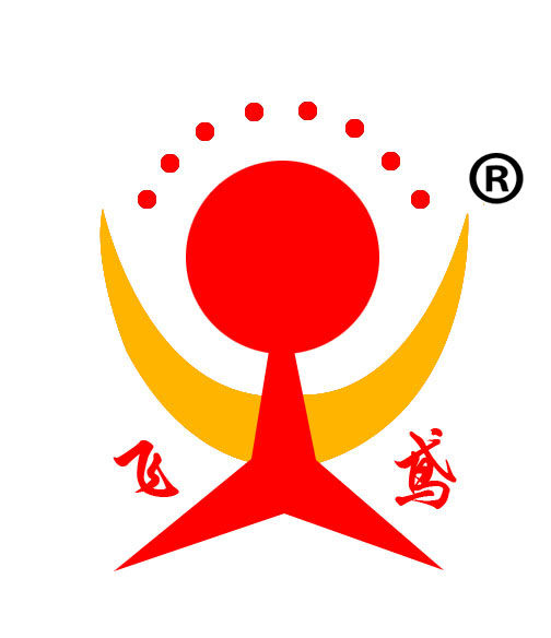 天成飞鸢厂家直销店的LOGO