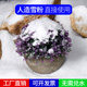 金橡工艺