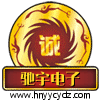 益阳驰宇电子