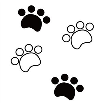 巢湖晨峰鱼网的LOGO