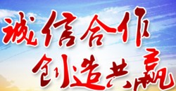 宏高电子