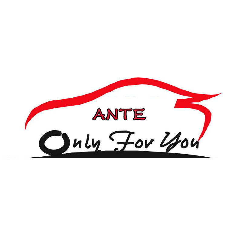 安特滤清器企业店的LOGO