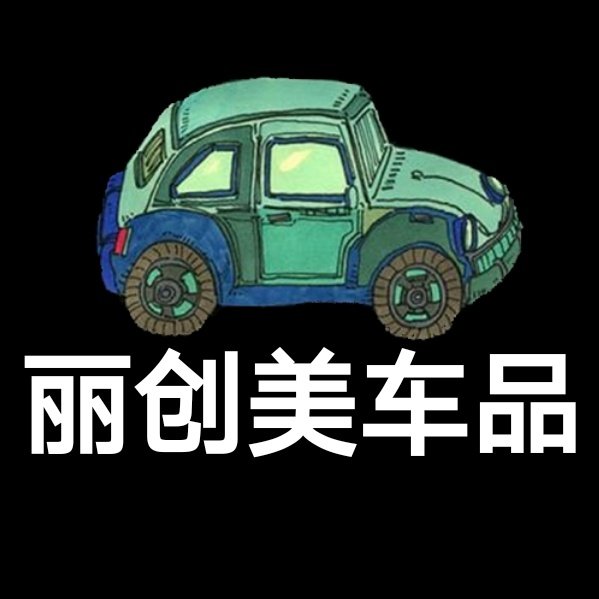 丽创美汽车诊断工具
