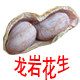 龙岩花生闽西特产