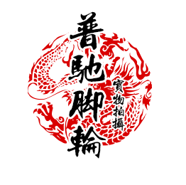上海普驰脚轮厂家直销
