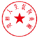 亮人生