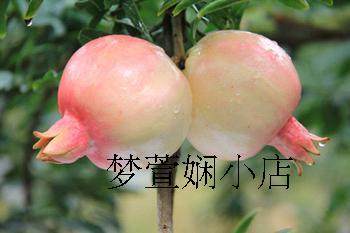 田氏优腌坊