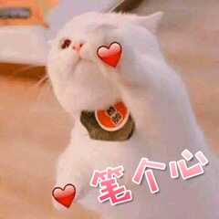 多啦猫宠物的LOGO
