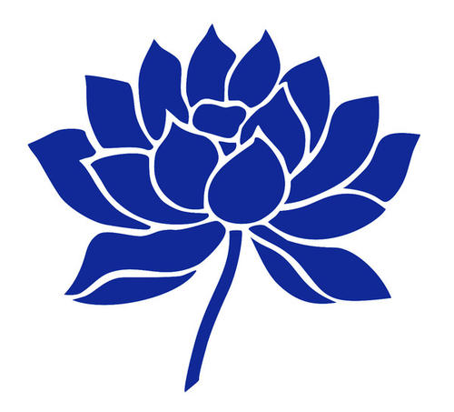Tina手工壳