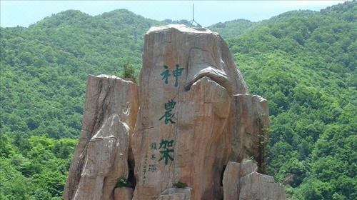 养生茶特卖