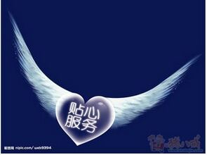 叶子童鞋