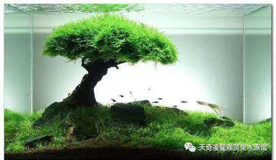 手工骨架