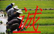 邻家女孩的特产小铺