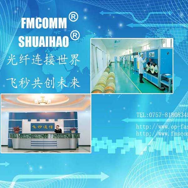 shuaihao飞秒专卖店