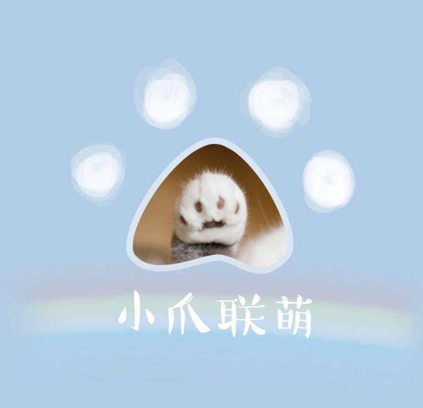 小爪联萌宠物用品