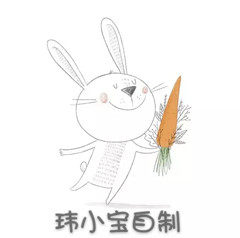 玮小宝自制