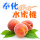 何小农特产
