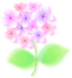 心之心女神家居馆