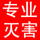博克虫控