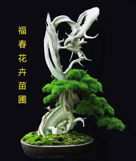 福春花卉苗圃