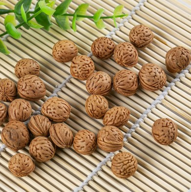 东坡桃核