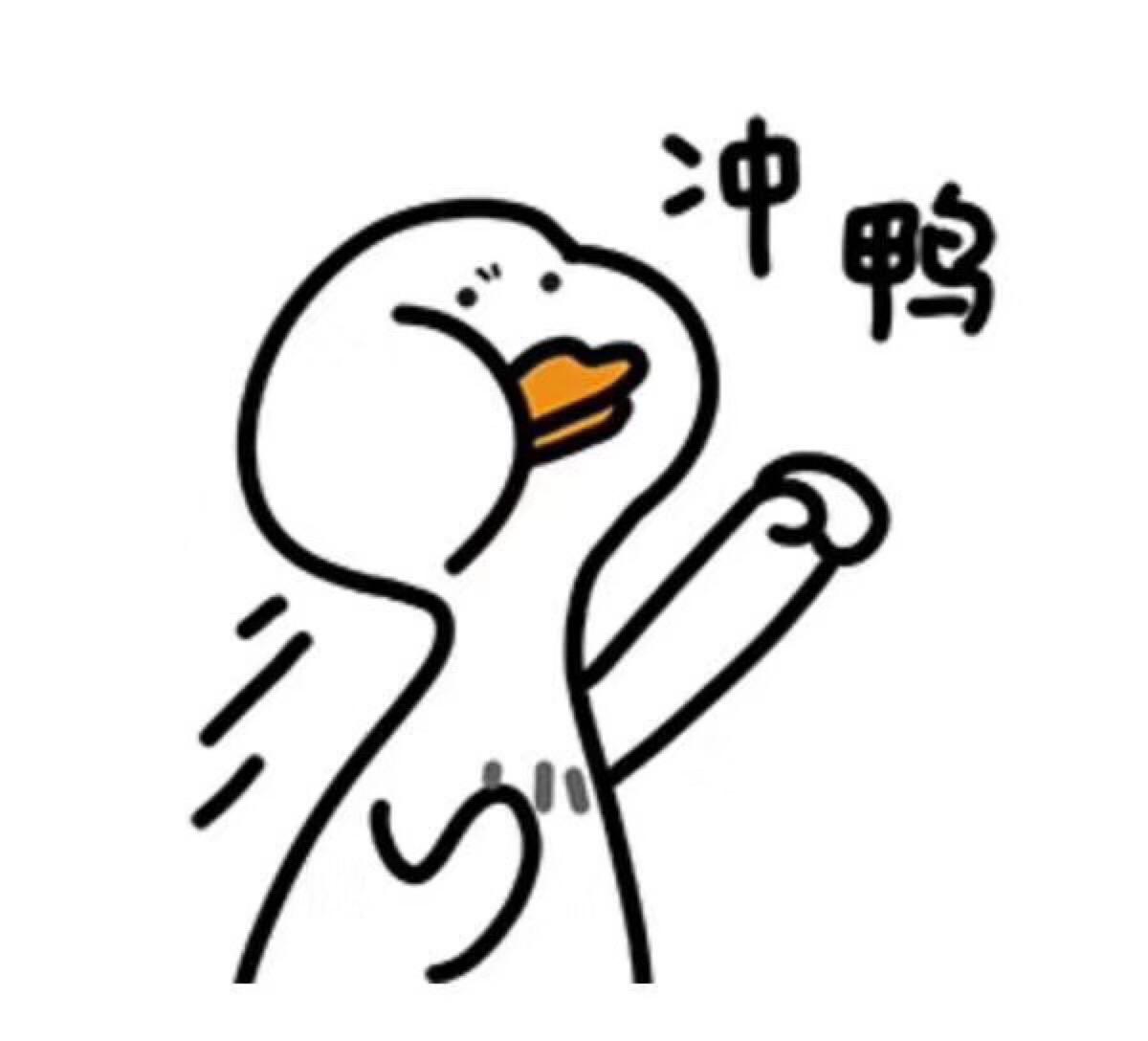 Petcircle官方折扣店铺