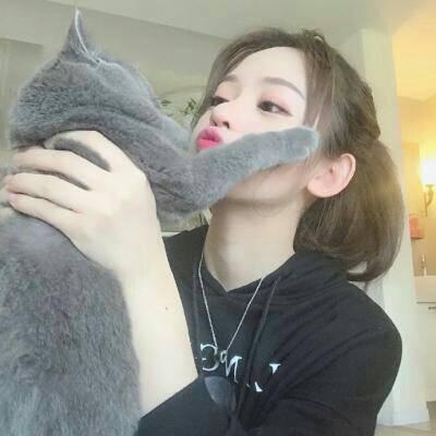 尤斯顿宠物用品