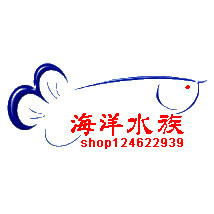 海洋水族