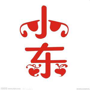 小东越野外饰的LOGO