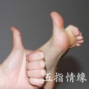 五指情缘
