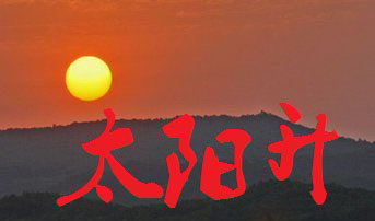 太阳升电子电器的LOGO