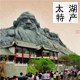 二妞家 太湖县农家土特产店