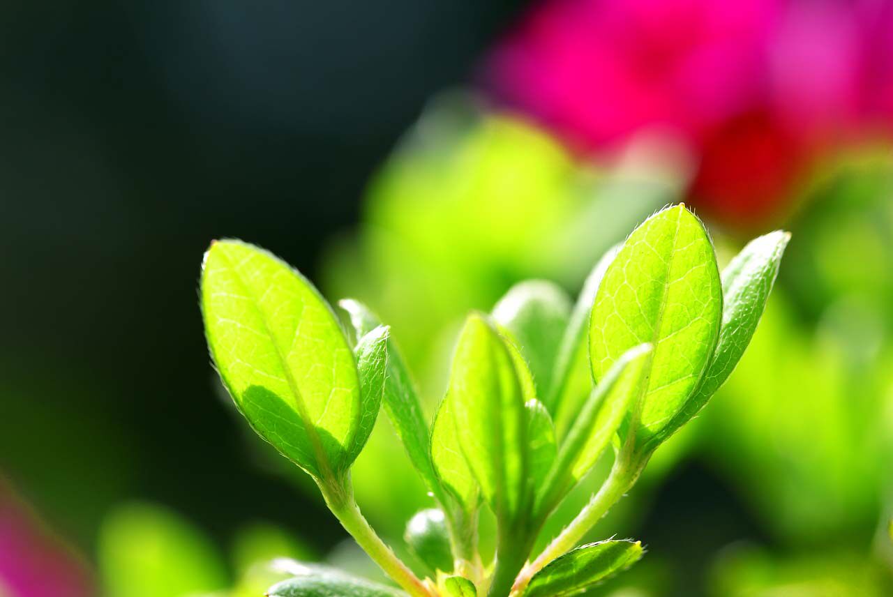 d[u10229412]