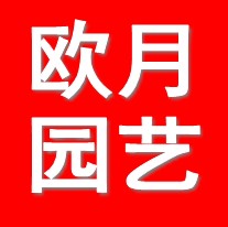 欧月园艺花坊