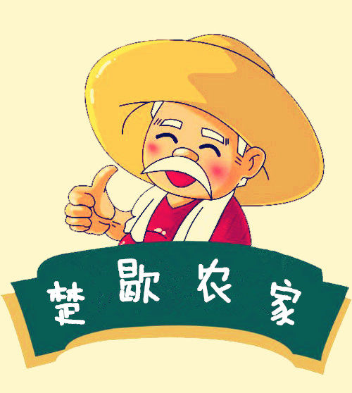 楚歇特产店的LOGO
