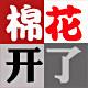 棉花开了2012