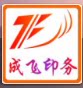 成飞设计的LOGO