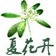 夏花开香品馆的LOGO