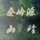 秦岭源山珍的LOGO
