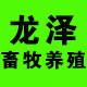 龙泽畜牧养殖