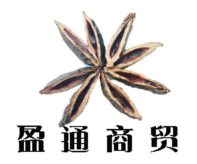 盈通商贸经营部