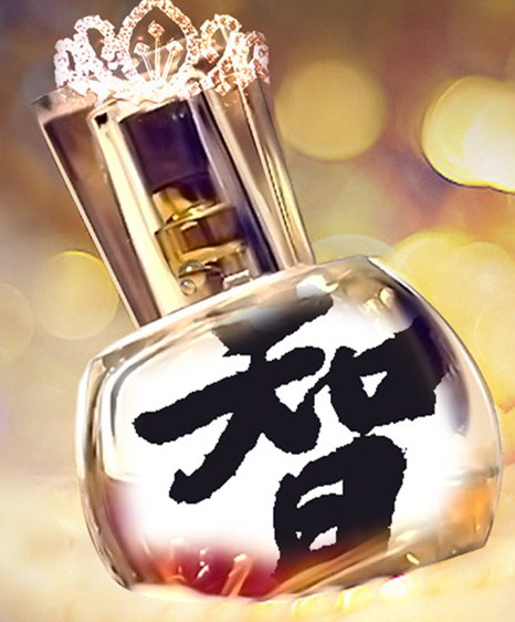 智力丝印耗材